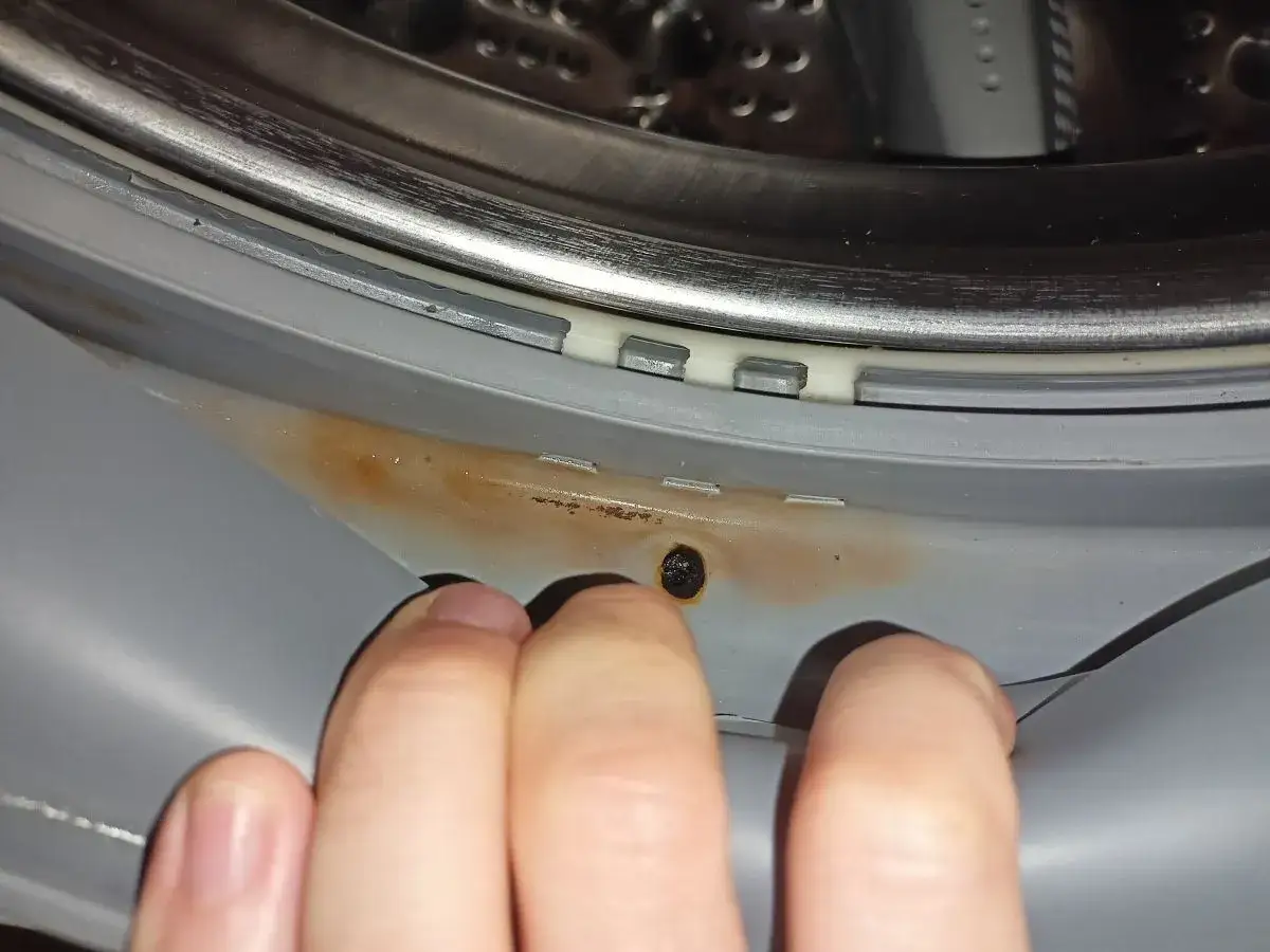 Uszkodzona guma w pralce, widoczne ślady rdzy i pęknięcie. Palce wskazują na problem.